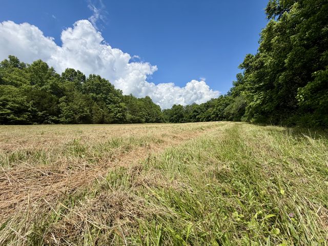 4190 Fattybread Branch Rd, Williamsport, TN 38487