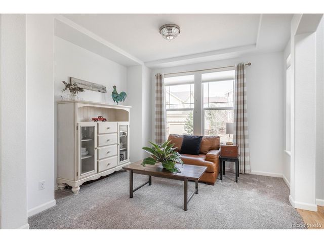 2788 Dreamcatcher Loop, Castle Rock, CO 80109