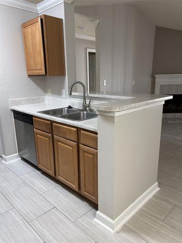 18322 BRIDLE CLUB DRIVE 18322, Tampa, FL 33647