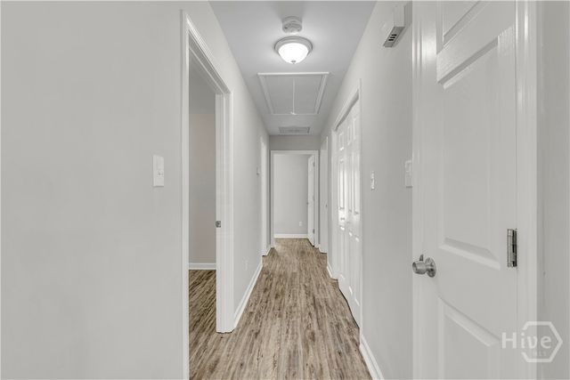 1223 E Waldburg Street, Savannah, GA 31404