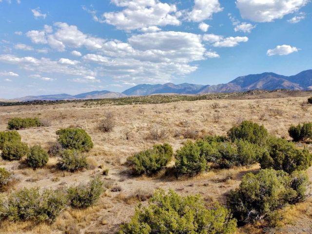 0 131st St. 2, Juniper Hills, CA 93543