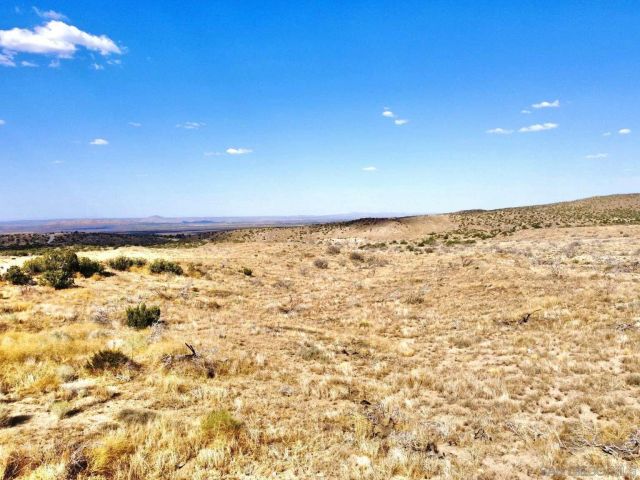 0 131st St. 2, Juniper Hills, CA 93543