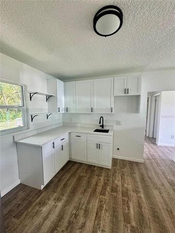 21828 VIRGINIA DRIVE, Astor, FL 32102