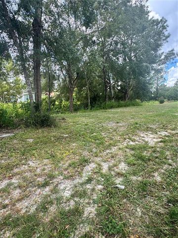 21828 VIRGINIA DRIVE, Astor, FL 32102