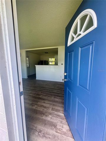 21828 VIRGINIA DRIVE, Astor, FL 32102