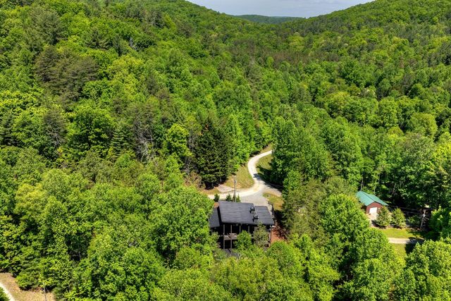 197 Tipton Court, Cherry Log, GA 30522