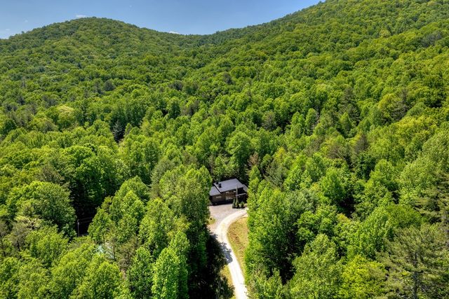 197 Tipton Court, Cherry Log, GA 30522