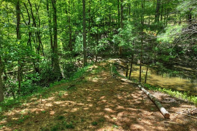 197 Tipton Court, Cherry Log, GA 30522