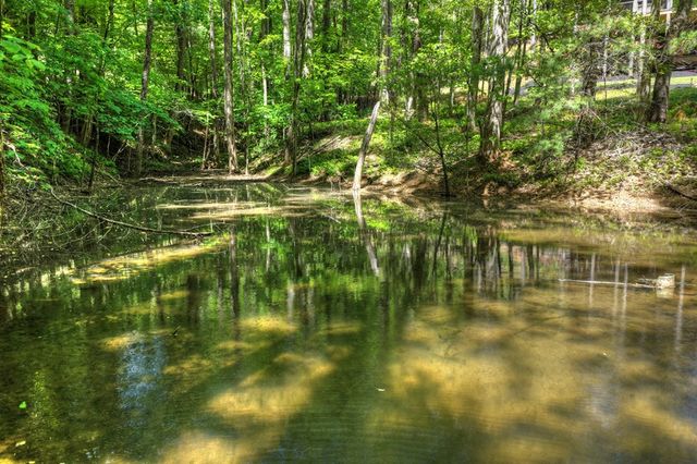 197 Tipton Court, Cherry Log, GA 30522