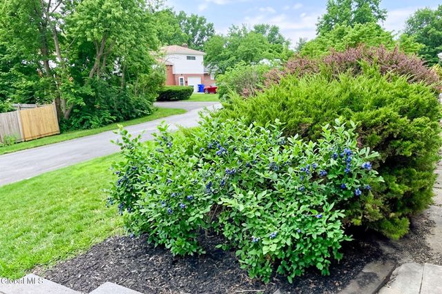 31 Freeman Road, Albany, NY 12208