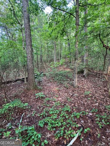 0 E Armuchee, Lafayette, GA 30728