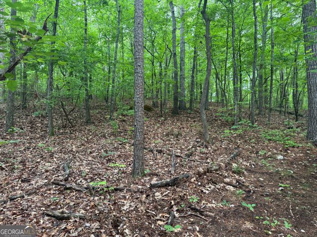 0 E Armuchee, Lafayette, GA 30728