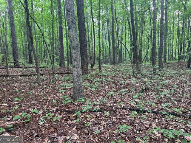 0 E Armuchee, Lafayette, GA 30728