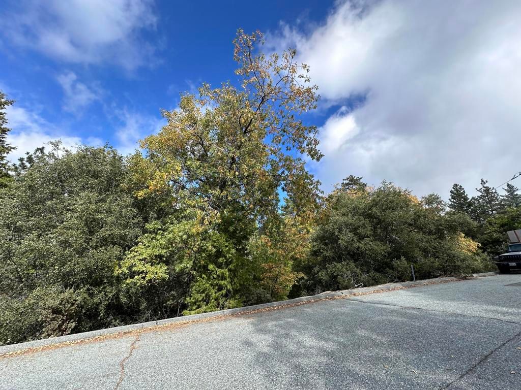 Image 12 of property listing at Address unavailable.