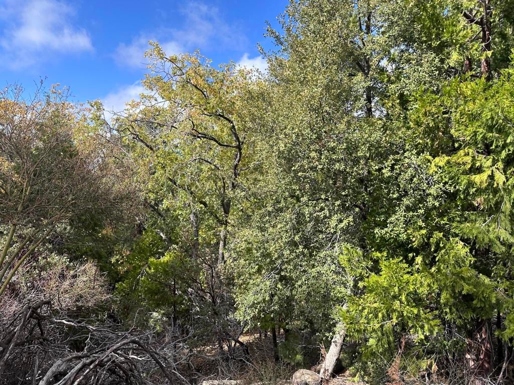 Image 2 of property listing at Address unavailable.