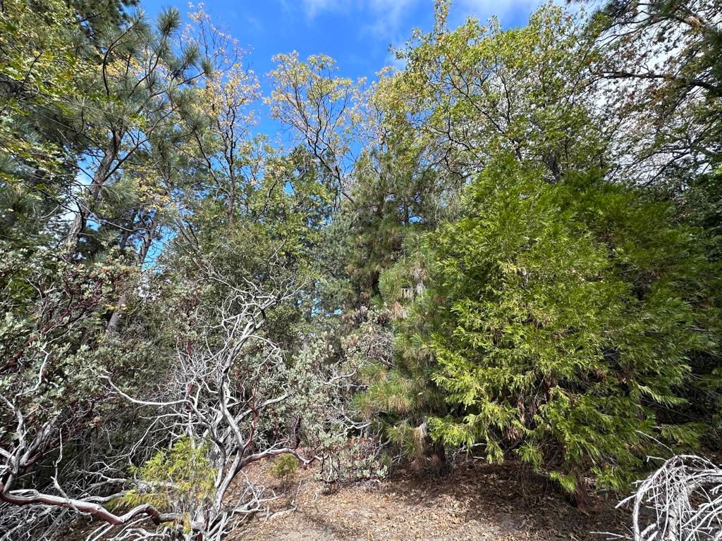 Image 5 of property listing at Address unavailable.