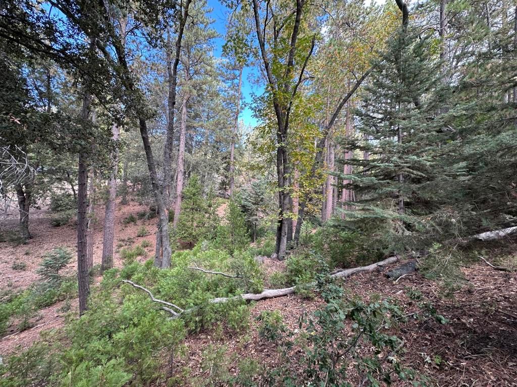 Image 6 of property listing at Address unavailable.