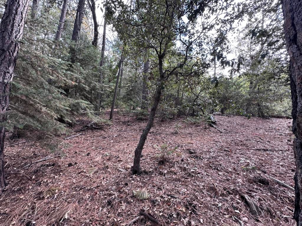 Image 7 of property listing at Address unavailable.