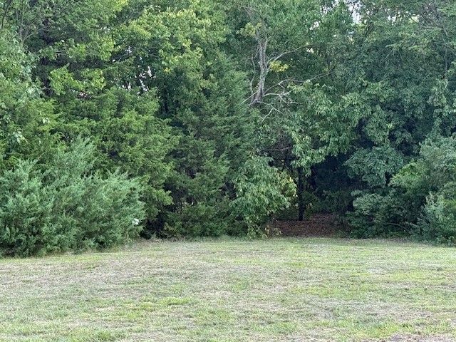 751 1st Street, Cooper, TX 75432