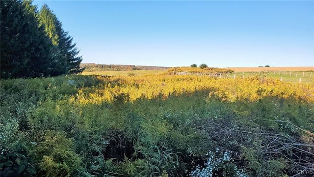 4325 Cosmos Hill Road, Cortlandville, NY 13045