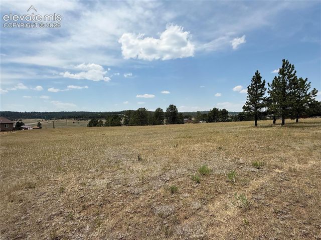 378 High Pasture Road, Florissant, CO 80816