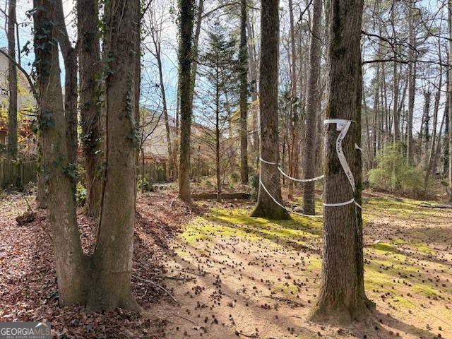 1080 Pebble Bend Drive, Grayson, GA 30017