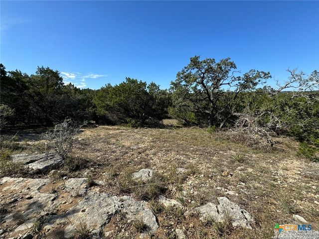 1040 Pinon Pass, Fischer, TX 78623