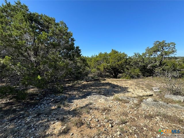 1040 Pinon Pass, Fischer, TX 78623