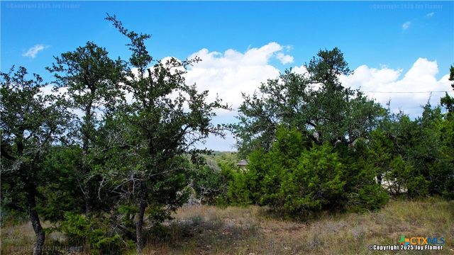 1040 Pinon Pass, Fischer, TX 78623