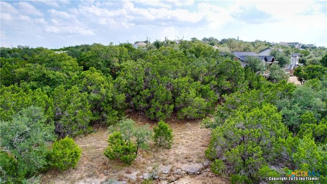 1040 Pinon Pass, Fischer, TX 78623