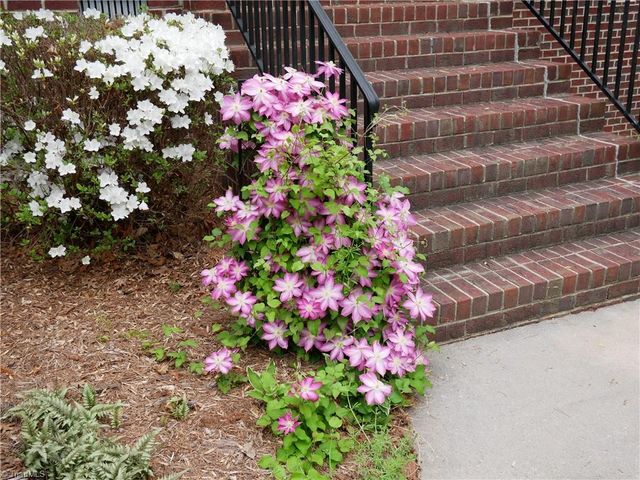 2502 Wedge Place, Asheboro, NC 27205