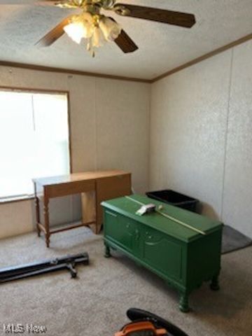 17607 Halleys Ridge Road, Pleasant City, OH 43772