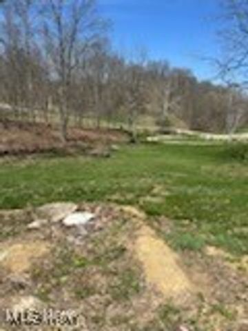 17607 Halleys Ridge Road, Pleasant City, OH 43772