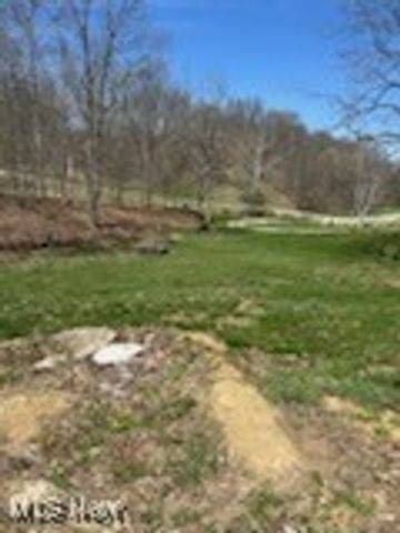 17607 Halleys Ridge Road, Pleasant City, OH 43772