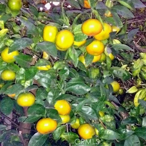 5384 W Paseo Del Lago West A, Laguna Woods, CA 92637