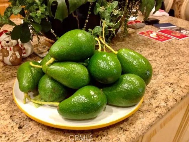 5384 W Paseo Del Lago West A, Laguna Woods, CA 92637