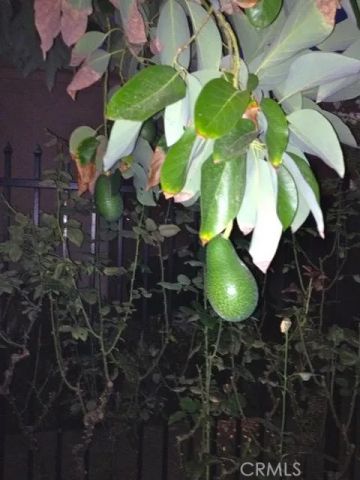 5384 W Paseo Del Lago West A, Laguna Woods, CA 92637