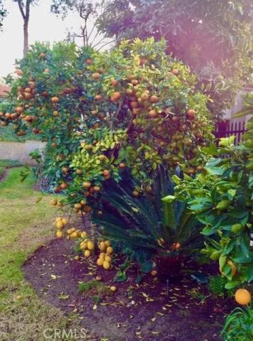 5384 W Paseo Del Lago West A, Laguna Woods, CA 92637