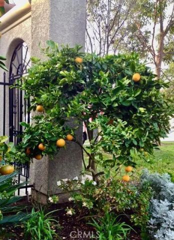 5384 W Paseo Del Lago West A, Laguna Woods, CA 92637