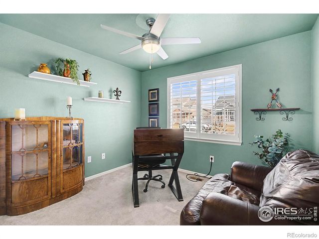 7541 Little Fox Lane, Wellington, CO 80549