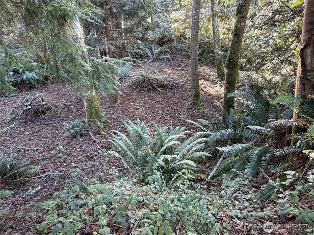 4843 NE Twin Spits Road, Hansville, WA 98340