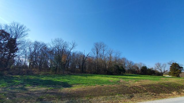 6523 S Stock Street Lot 8, Republic, MO 65738