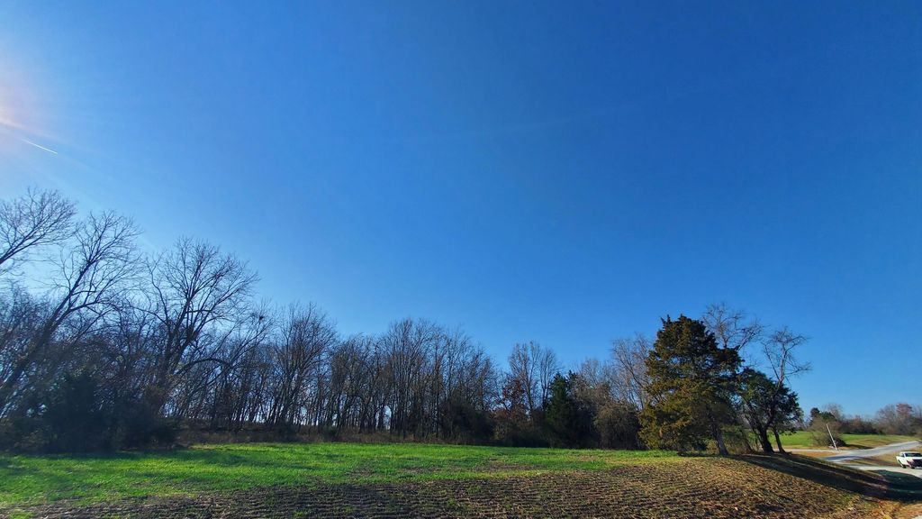 6523 S Stock Street Lot 8, Republic, MO 65738