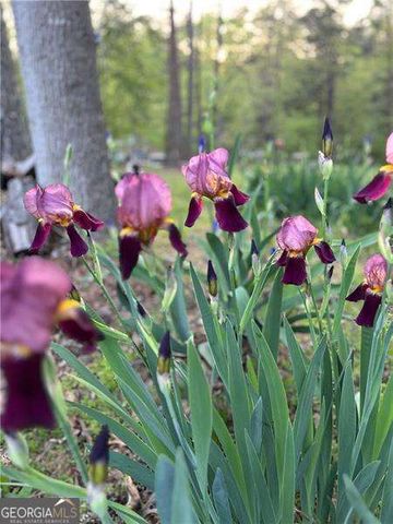 4060 Merritt Drive, Cumming, GA 30041