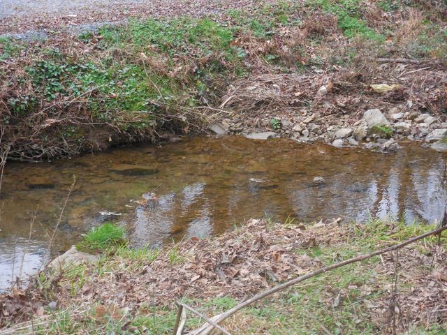 1377 Granville Hwy, Gainesboro, TN 38562