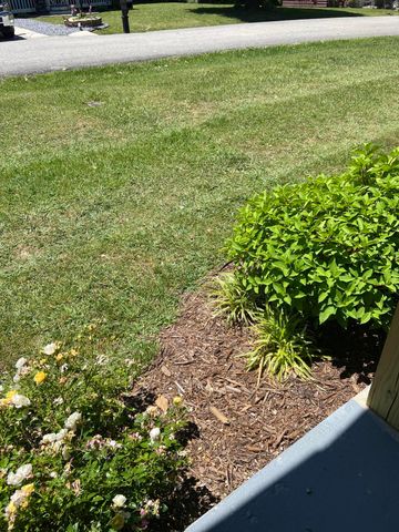 182 Fanchester Heights, Whitley City, KY 42653