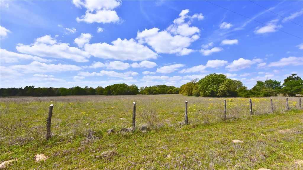TBD Legacy Road (5 acres), Caldwell, TX 77836 — photo 4