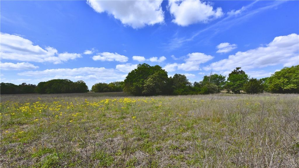 TBD Legacy Road (5 acres), Caldwell, TX 77836 — photo 5