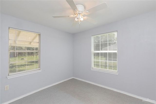 10114 Lipsey Drive, Edinburg, TX 78542