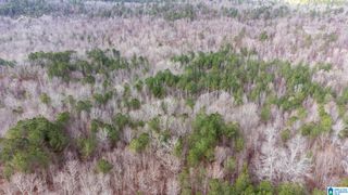 0 COOK SPRINGS ROAD, Odenville, AL 35120